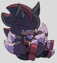 Baby Shadow Hedgehog
