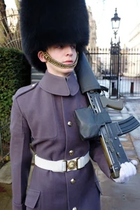 A British guardsman 