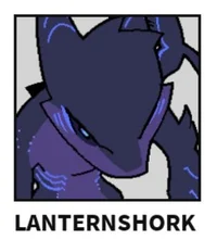 Lantern shork 