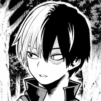 Shoto Todoroki