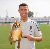 ronaldo marcatoons