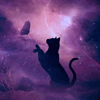 Space Kitty