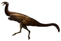 Gallimimus
