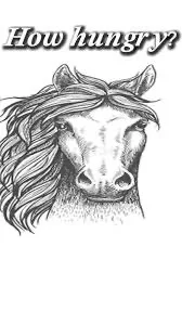 Honse