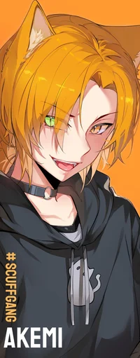 Akemi Nekomachi