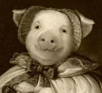 Mrs Pig