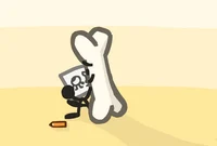 Bone