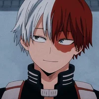 Shoto Todoroki 