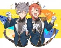 Cat bois