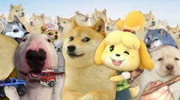 Doge Lore RPG