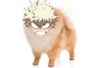 Katsuki Bakugo 002