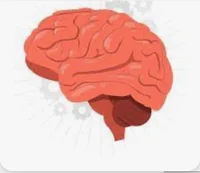 Brain 