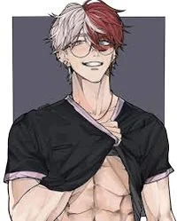shoto todoroki