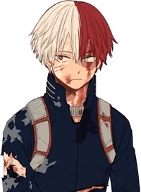 Slave Shoto Todoroki