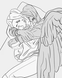 Hawks