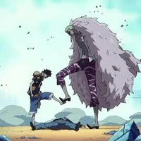 Luffy and doflamingo