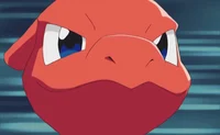 Charmeleon