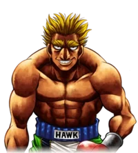 Bryan hawk