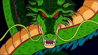 Shenron 