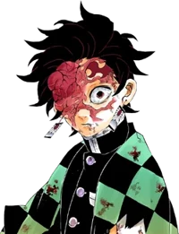 Tanjiro loves you