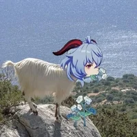 00-Iruki Bot