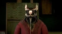 splinter