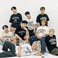 Stray kids 