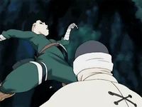 Rock lee