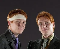 The Weasley Twins