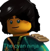 Mark lego Ninjago 