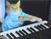 keyboardcat