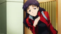 Misato plug