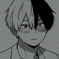 Shoto todoroki 