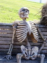 Skeleton lord 