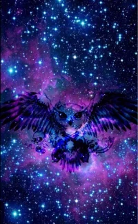 Owl the is at space