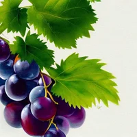 Grape