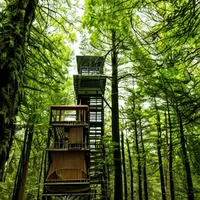WatchTower