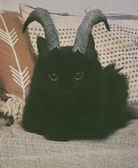 demon kitty