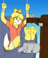 Isabelle Tickle Feet