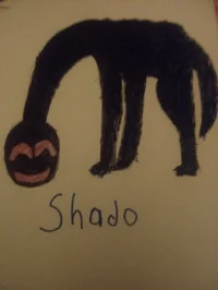 Shado 