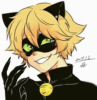 cat noir 