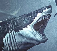 Megalodon