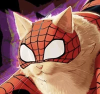 Spider-Cat