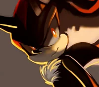 Shadow The Hedgehog