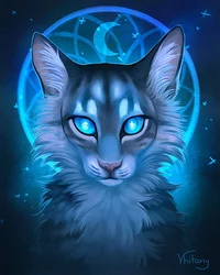 Warrior cat creator