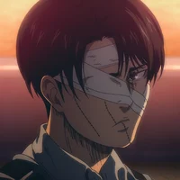 Levi Post-Manga