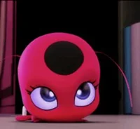 Tikki
