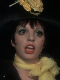 Liza Minnelli 