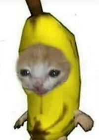 Gatito banana