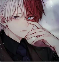 Shoto todoroki 